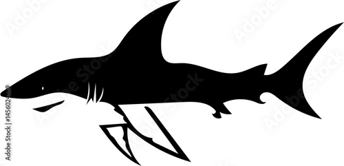 silhouette of a shark
