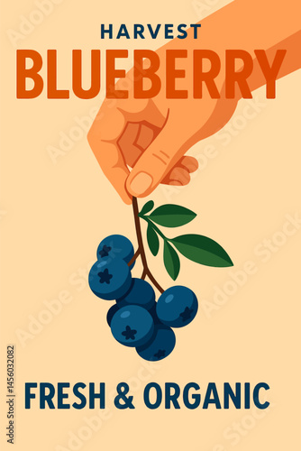 Hand Holding Fresh Blueberry Branch Organic Harvest Concept Illustration