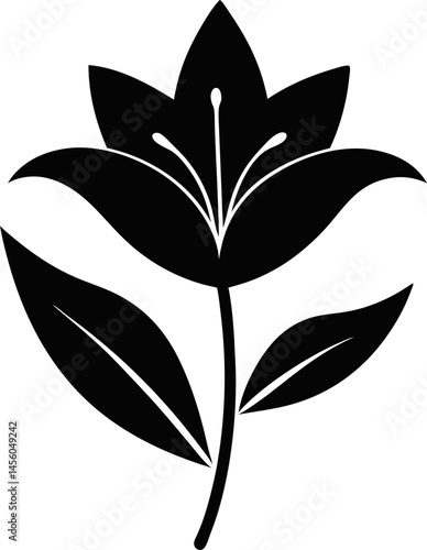 Lily icon Silhouette vector on transparent background