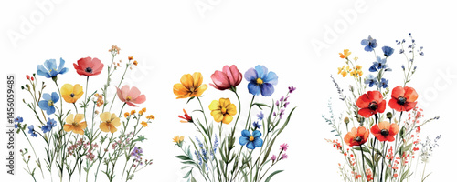Watercolor set of bouquets of wildflowers on a white background. Wildflowers of poppies, daisies, cornflowers and other flowers in a watercolor style. Elements for designs in a rustic style.