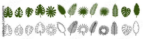 Tropical Palm Leaves Silhouettes and Color Line Art Set,Black Leaf Vector Shapes, Decorative Elements, Artistic Foliage Illustrations for Nature Inspired Graphic Design and Embellishments.