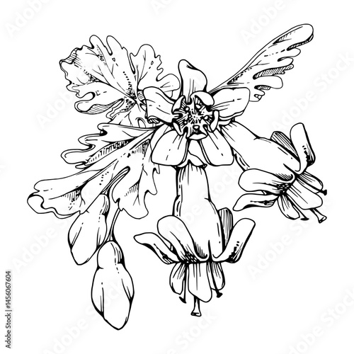 Gooseberry leaves, bell flower buds boutonniere, juneberry currant. Cut out botanical illustration hand drawn in vector ink. Farmer calendar, florist shop, wedding anniversary, birthday stationery