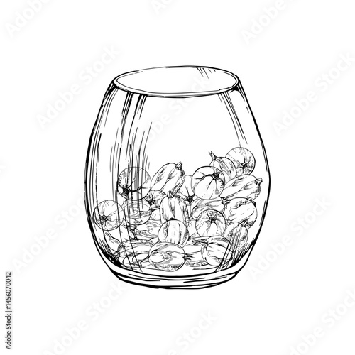 Gooseberry Currant berries served in glass hand drawn in vector ink, ripe picked harvest, lingonberry huckleberry juneberry. Isolated illustration. Dessert menu, home preserves cookbook, grocery store