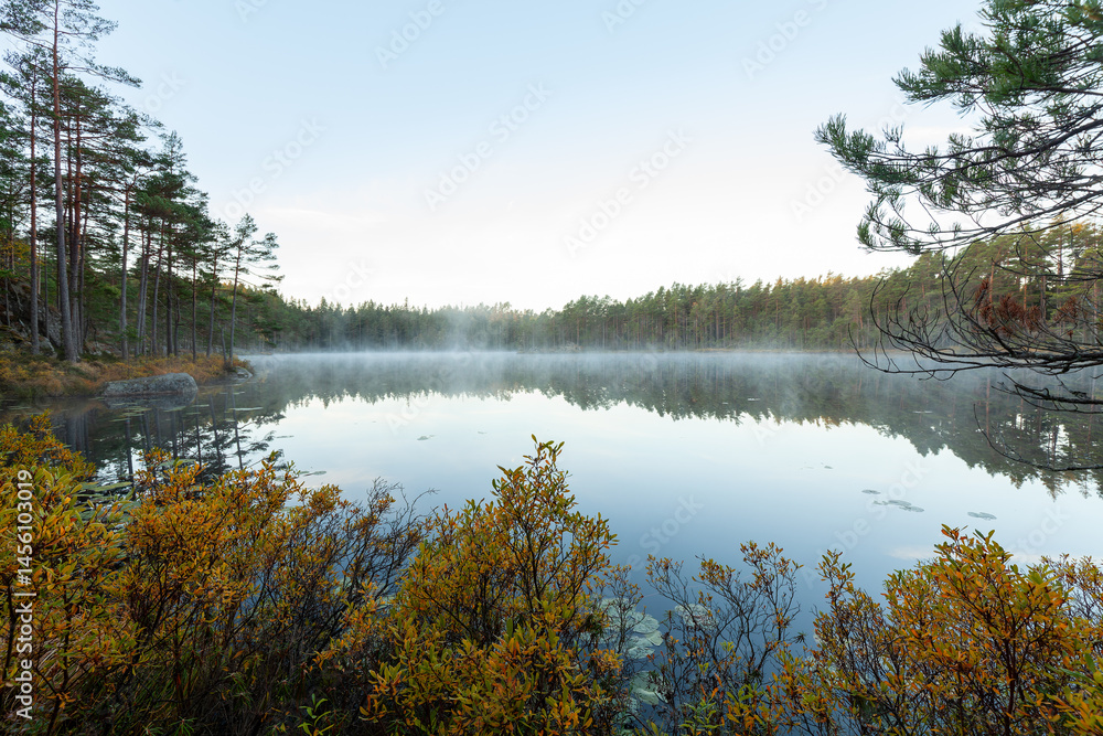 Obraz premium Herbststille am See – Kiefernwald im Tiveden Nationalpark, Schweden