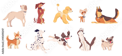 Adorable puppies breeds. Cartoon cute dog puppy different canine breed collection, funny pet domestic animal labrador doggy dachshund poodle chihuahua, classy vector illustration