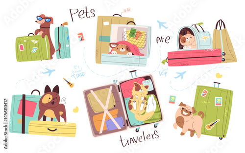Pets travel luggage. Funny cat cute dog in pet carrier with bag for journey road trip, summer vacation stickers tourist owner pets kitten puppy animal, classy vector illustration