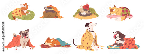 Pets with blanket. Cartoon cat and dog wrapped in warm cozy blankets, cute kitten sleep dream lazy puppy comfy home autumn fall adorable pet animals set, classy vector illustration
