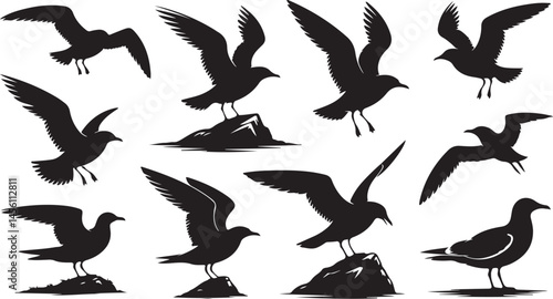 Collection of seagull silhouettes in flight ideal for nature and ocean themes
