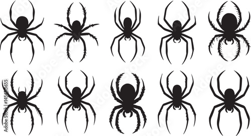 Collection of black spider silhouettes useful for Halloween arachnid and design themes