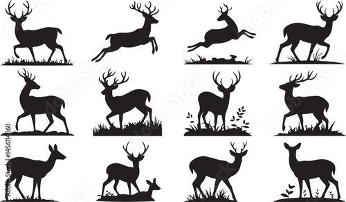 Set of deer silhouettes in various poses ideal for wildlife nature and hunting designs