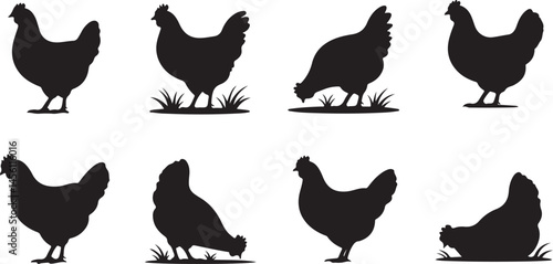 Silhouette Collection of Chickens in Varied Poses with Grass for Farm Life and Poultry Themes