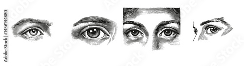 Detailed Illustration of Diverse Human Eye Types and Features, Logo Design, Hand drawing Engraving, Vector Illustration Isolated Object