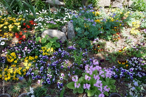A vibrant spring garden bursting with colorful wildflowers smooth river rocks and lush green foliage
