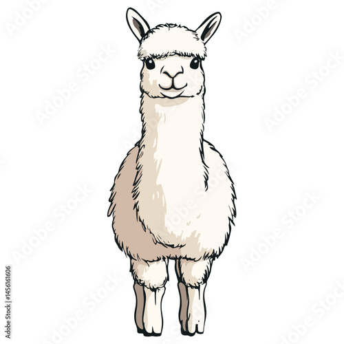 alpaca, animal, vector, transparent background, nature, pet, isolated, wildlife, mammal, cute, farm, icon, zoo, peru