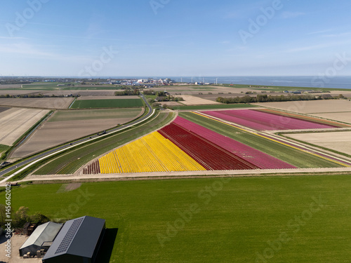 Aerial View of Tulip Fields Near Sexbierum, Friesland – Netherlands