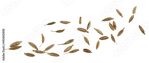 Wallpaper Mural Scattered cumin isolated on a transparent background. Completely in focus. Full depth of field. Top view. PNG. Torontodigital.ca