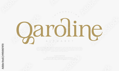 Modern serif display font with unique and elegant curves, ideal for luxury branding, logos, and editorial designs