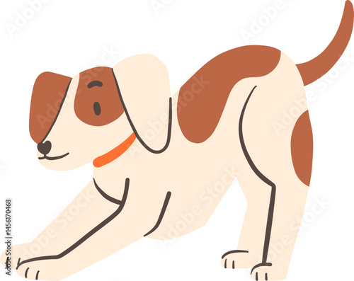 Playful Beagle in Crouching Pose