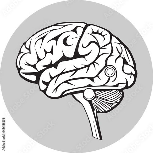 human brain vector illustration
