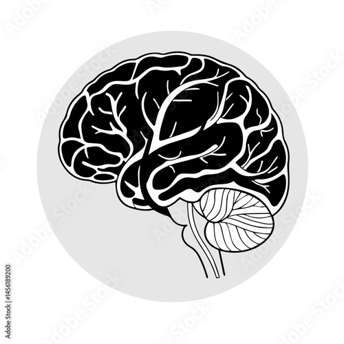 human brain vector illustration