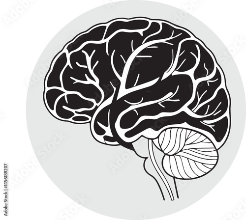 human brain vector illustration