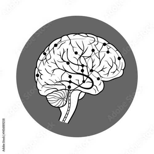 human brain vector illustration