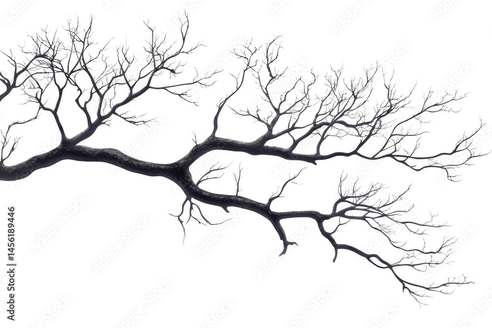 Obraz premium Abstract Tree Branches Against Dark Backdrop Creating Spooky Ambiance