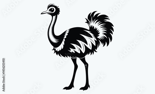 Ostrich silhouette, Ostrich silhouette vector, emu bird black silhouette