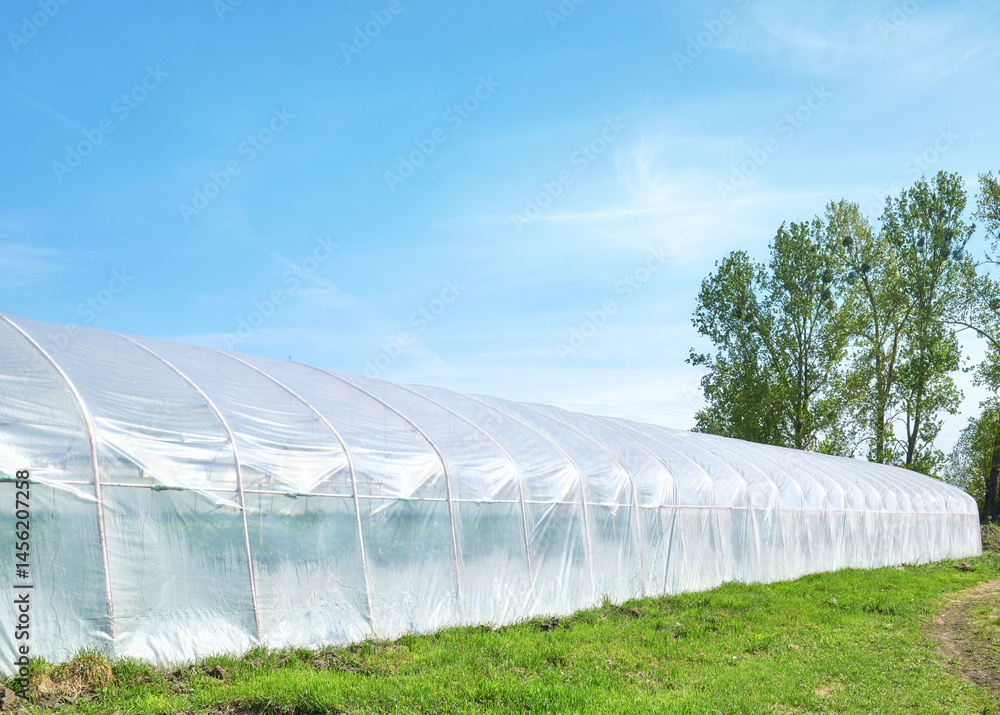 Polytunnel on an organic farm against the blue sky.