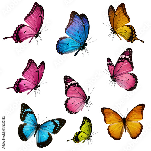 set of butterflies isolated on white or transparent png	
