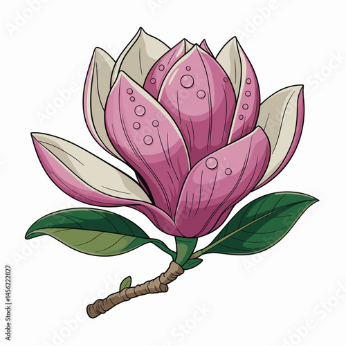 Elegant Southern Magnolia Flower with Dew Vector