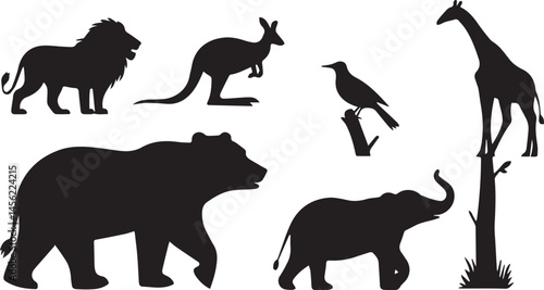 Photography wild animals silhouettes