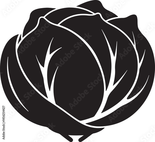 cabbage vegetable silhouette, black and white silhouette, vector and illustration