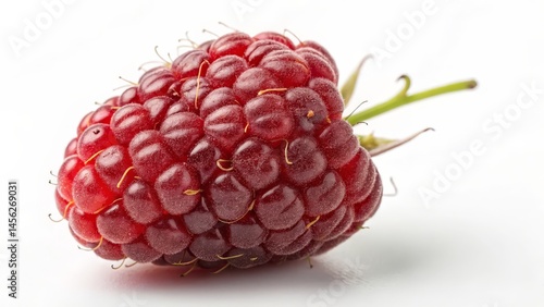 Close-up Macro Photography ...