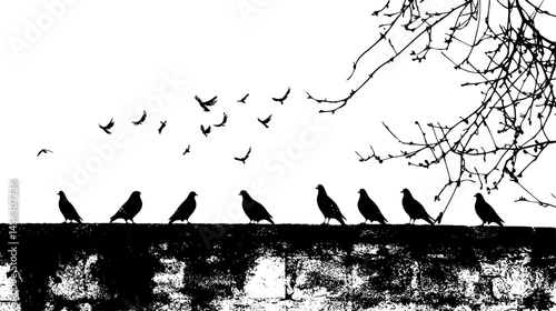 Pigeons Gathering On Ledges, vector illustration