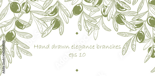 Hand drawn vector frame of olive branches isolated.