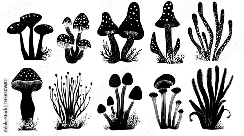 Strange Plants With Unusual Shapes, vector illustration