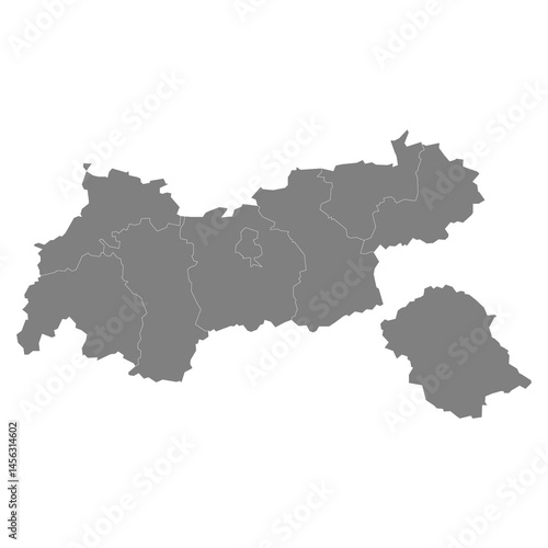 Obraz na płótnie High Quality map of Tyrol is a state of Austria, with borders of the counties w salonie