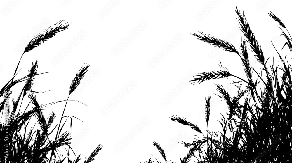Obraz premium Dry Wheat In Wide Farmland, vector graphic