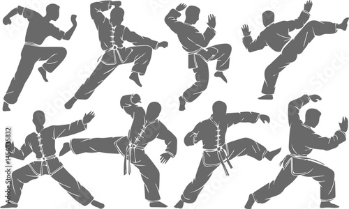 Set of kung fu or wushu martial arts silhouettes in fighting poses vector design