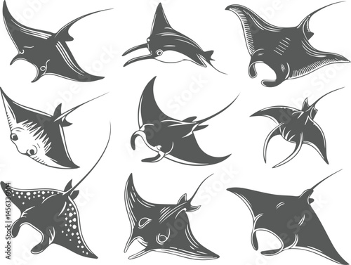 Collection of stylized stingray ray fish illustrations vector graphic set