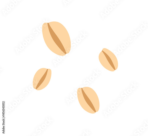 Close-up view of several light brown oat flakes scattered on a plain white background, ready for breakfast or baking.