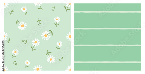 Seamless patterns with daisy flower, green branches and stripe line on green mint backgrounds vector. 