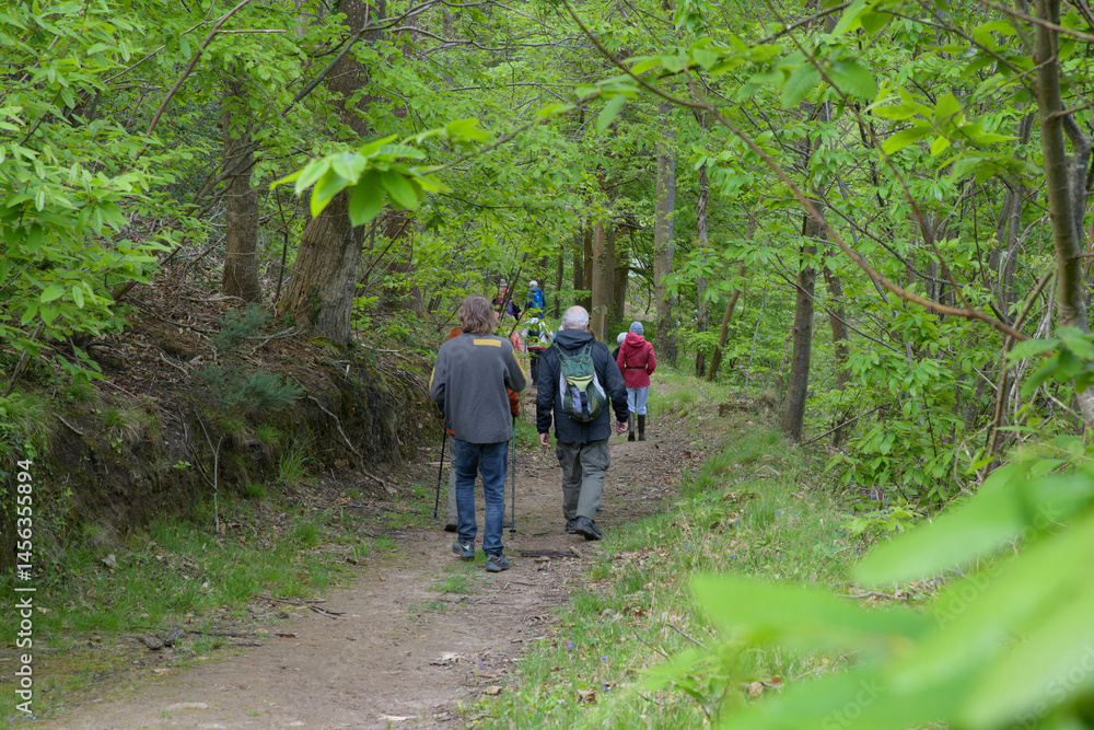 Obraz premium Groupe de randonneurs sur un sentier en Bretagne