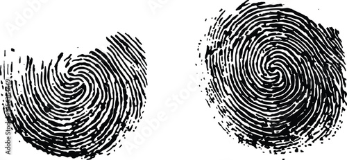 black fingerprint isolated on white background. Silhouette of finger print white background. Fingerprint isolated on transparent or white background,	