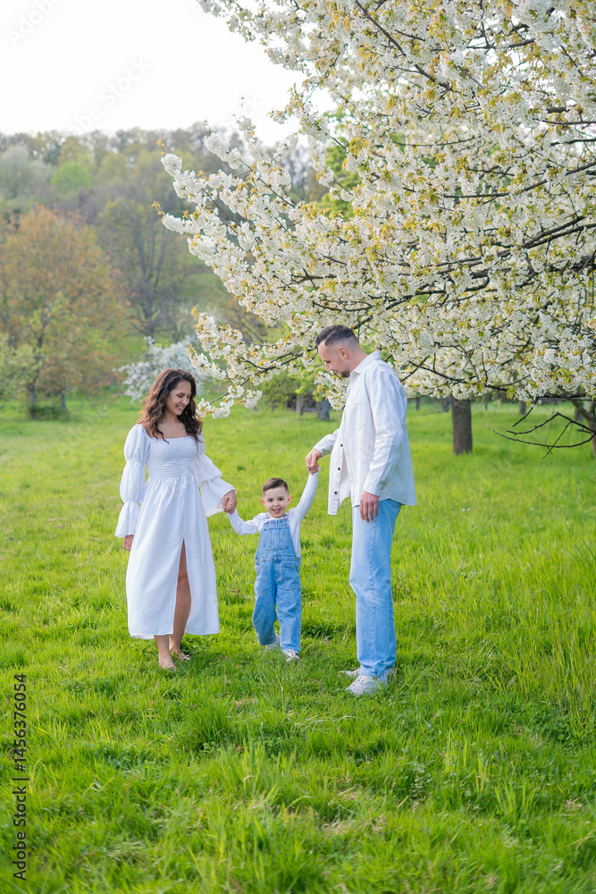 Obraz premium Young beautiful family walking in a field with blooming cherry trees. Dad, mom and little son playing in the garden outdoors.