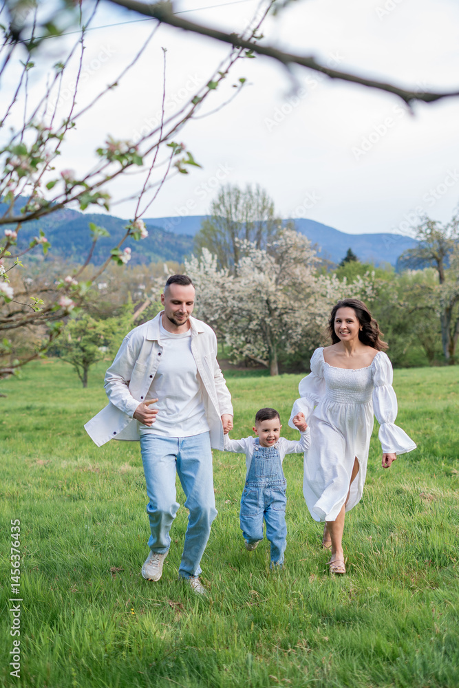 Fototapeta premium Young beautiful family walking in a field with blooming cherry trees. Dad, mom and little son playing in the garden outdoors.