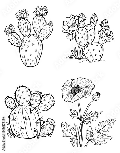 Cactus  Poppy Outlines Desert Bloom