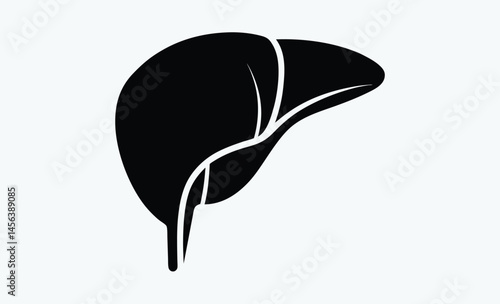 Liver silhouette, Liver silhouette icon, human organ vector, liver vector silhouette