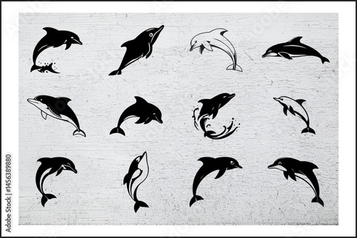 Echoes Underwater: The Dolphin’s Voice,
Dolphins in Myth and Reality,
The Intelligence of the Sea: Dolphins Explained
